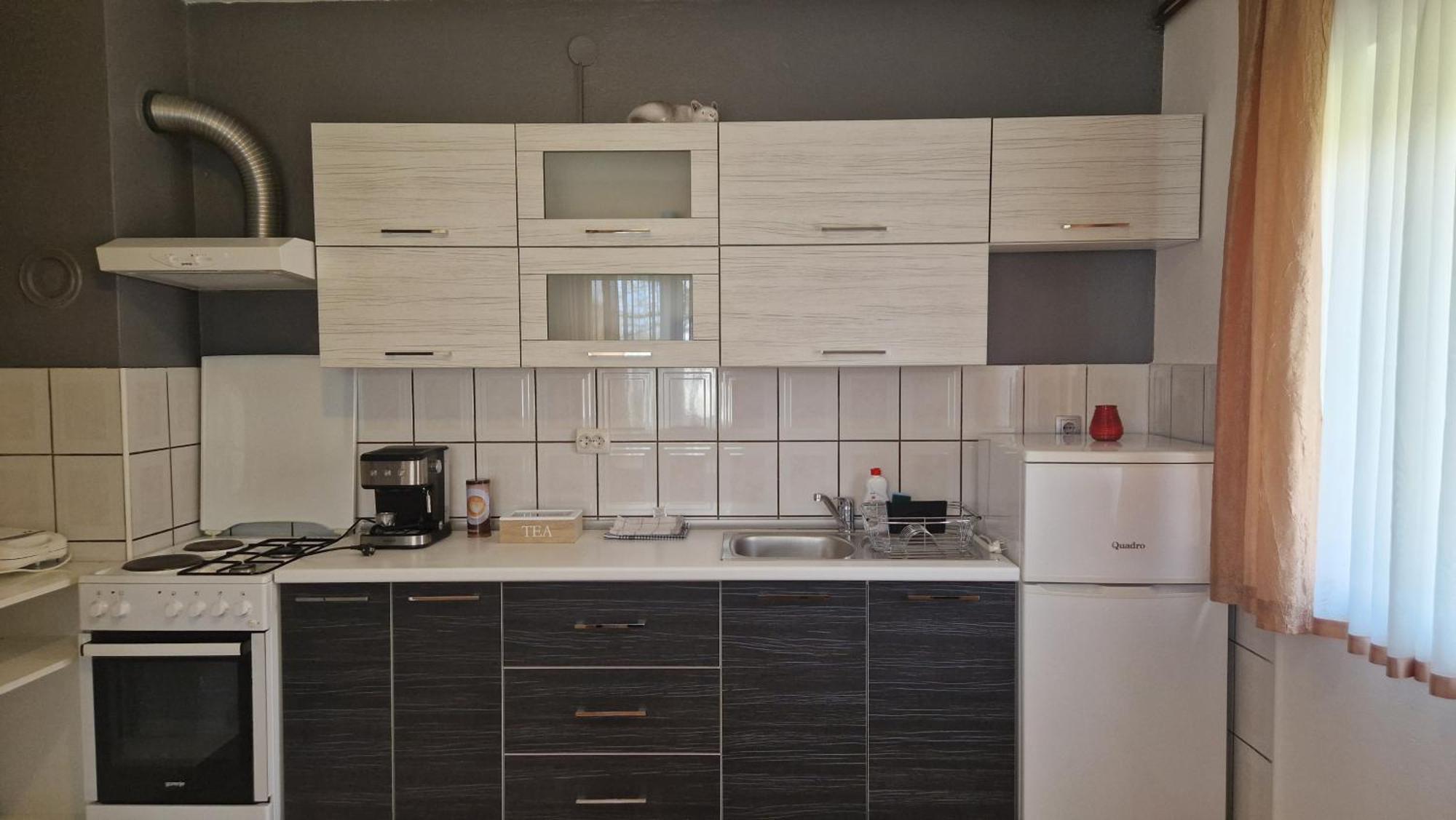 Apartment Nikolina グラボヴァツ エクステリア 写真